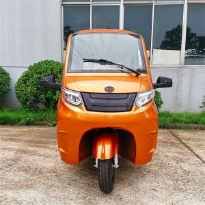 https://www.czmtev.com/luxury-electric-enclosed-passenger-trike.html