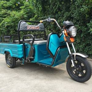 https://www.czmtev.com/electric-mini-cargo-tricycle.html
